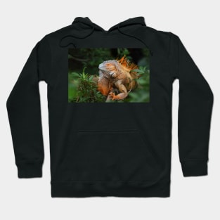 Green Iguana Hoodie